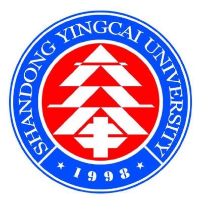 山东英才学院什么档次 很厉害吗