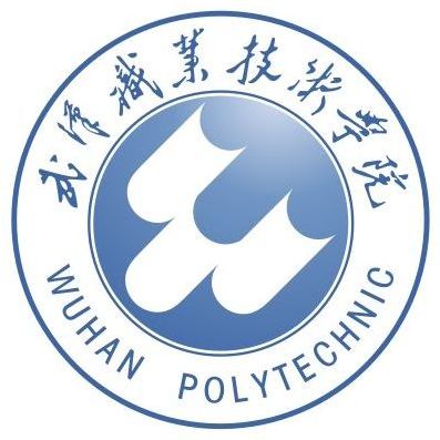 2024年武汉职业技术学院招生计划专业及各省录取分数线位次