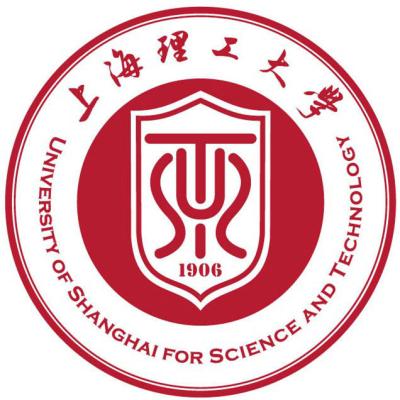 2024上海理工大学中英国际学院4+0录取标准