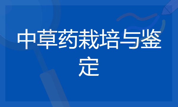 2024年中草药栽培与鉴定专业哪些大学好 哪些院校中草药栽培与鉴定专业强